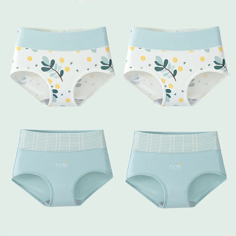 INTIMO SECRETS 4PCS High Waist Cotton Panties – Plus Size Women’s Lingerie