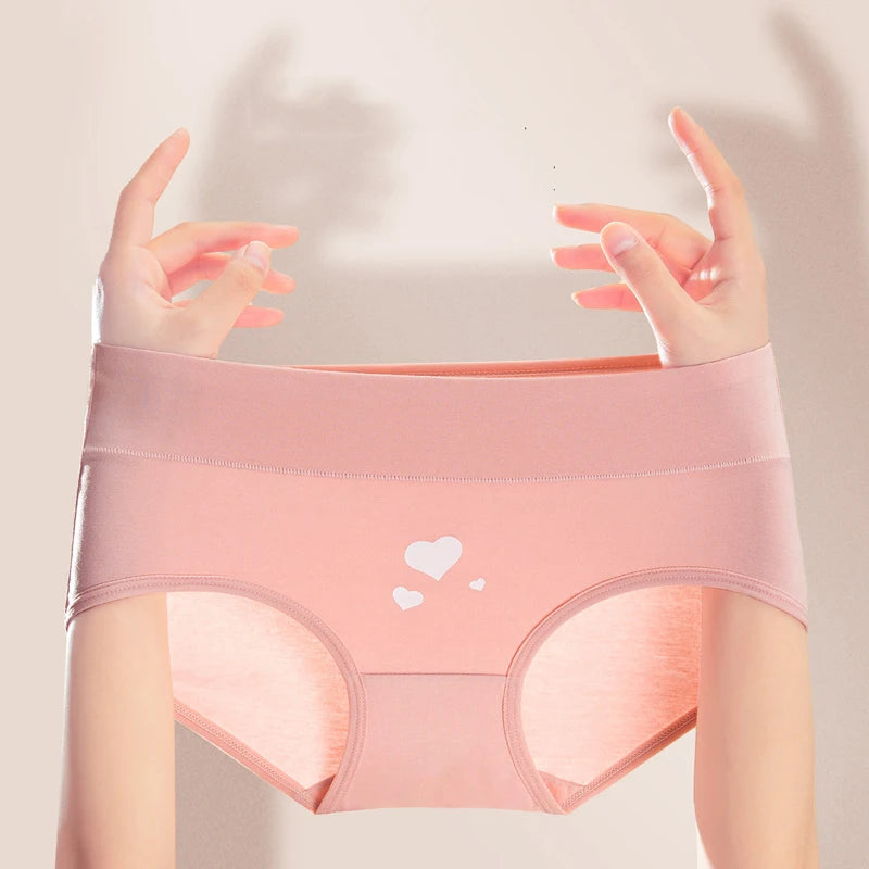 INTIMO SECRETS 4-Pack High Waist Panties – Plus Size Women’s Underwear