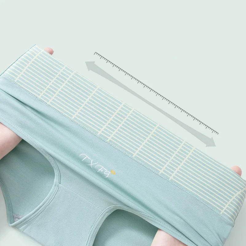 INTIMO SECRETS 4PCS High Waist Cotton Panties – Plus Size Women’s Lingerie
