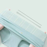 INTIMO SECRETS 4PCS High Waist Cotton Panties – Plus Size Women’s Lingerie