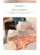 INTIMO SECRETS Women’s Lace Panties – Plus Size High Waist Sexy Lingerie M-XL