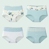 INTIMO SECRETS 4PCS High Waist Cotton Panties – Plus Size Women’s Lingerie
