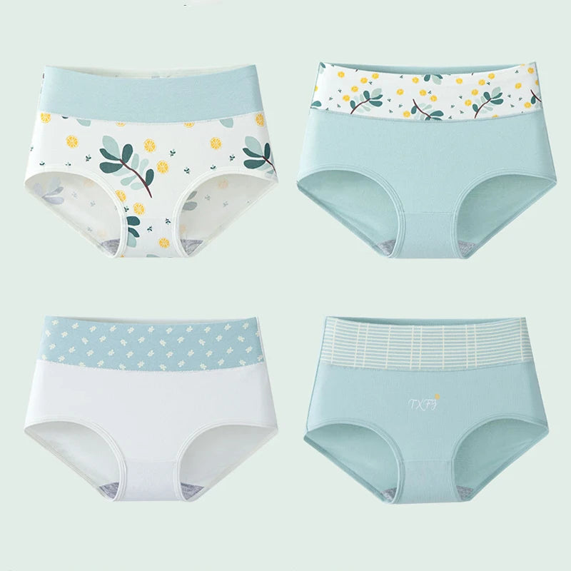 INTIMO SECRETS 4PCS High Waist Cotton Panties – Plus Size Women’s Lingerie