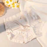 INTIMO SECRETS Women’s Lace Panties – Plus Size High Waist Sexy Lingerie M-XL