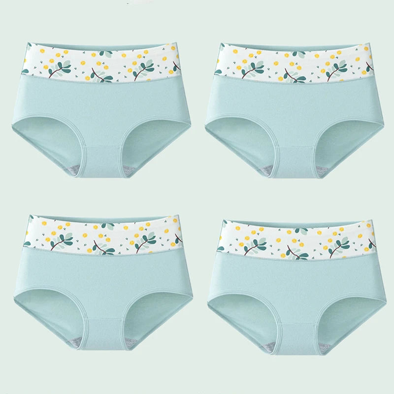 INTIMO SECRETS 4PCS High Waist Cotton Panties – Plus Size Women’s Lingerie