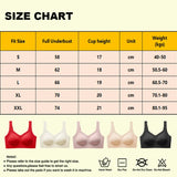 INTIMO SECRETS Soft Wireless Bra for Women