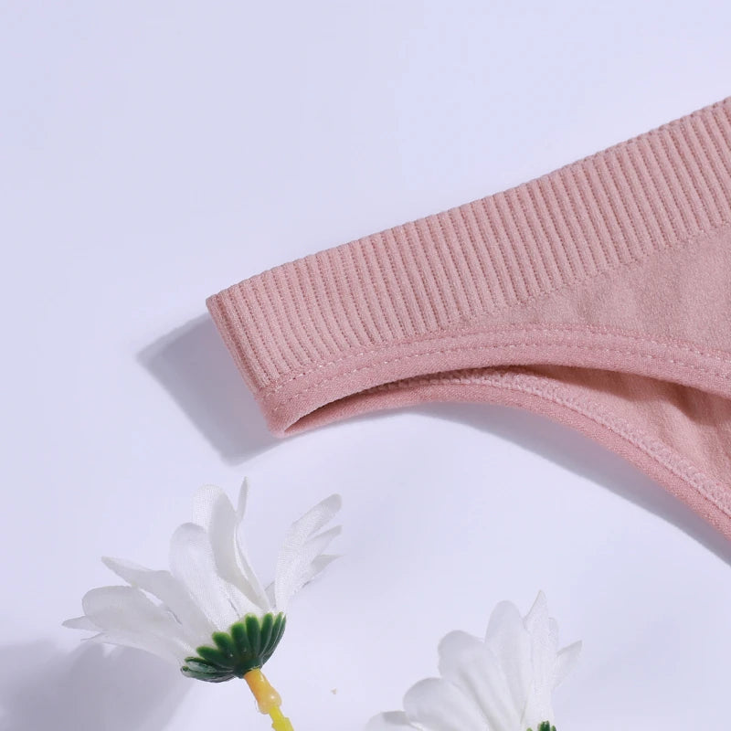 INTIMO SECRETS 7-Pack Women’s Seamless Thong & Brief Panties Set