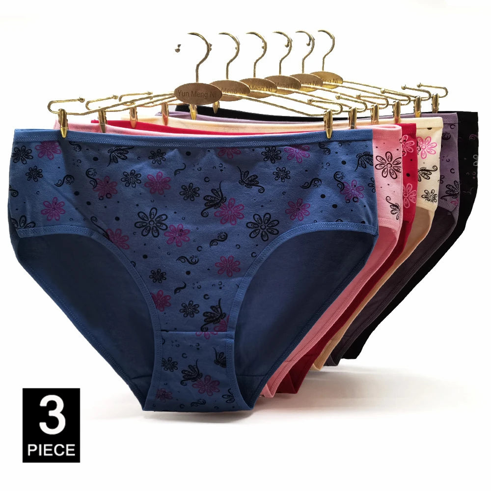 INTIMO SECRETS 3PCS Cotton Panties – Plus Size Women’s Cozy Lingerie