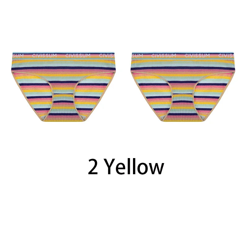 2PCS/Set Women Cotton Plus Size Panties M-4XL Comfort Underwear Sexy Colorful Rainbow Striped Lingerie Girls Cute Briefs NK608