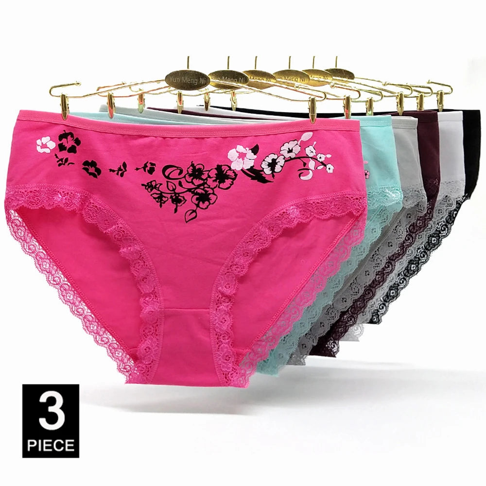INTIMO SECRETS 3PCS Cotton Panties – Plus Size Women’s Cozy Lingerie