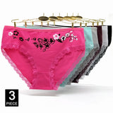INTIMO SECRETS 3PCS Cotton Panties – Plus Size Women’s Cozy Lingerie