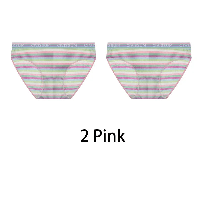 2PCS/Set Women Cotton Plus Size Panties M-4XL Comfort Underwear Sexy Colorful Rainbow Striped Lingerie Girls Cute Briefs NK608