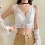 INTIMO SECRETS Women’s Lace Deep V Neck Wire-Free Bra & Bralette