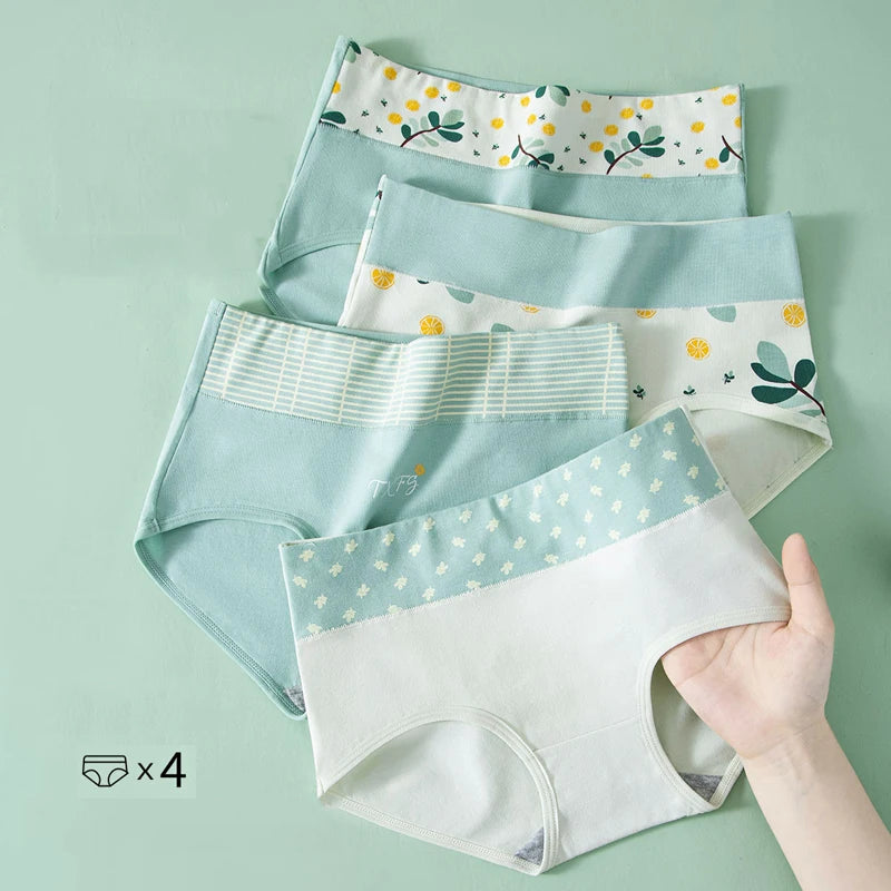 INTIMO SECRETS 4PCS High Waist Cotton Panties – Plus Size Women’s Lingerie