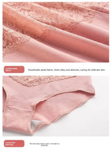 INTIMO SECRETS High Waist Cotton Briefs - V-Neck Lace Abdomen Control