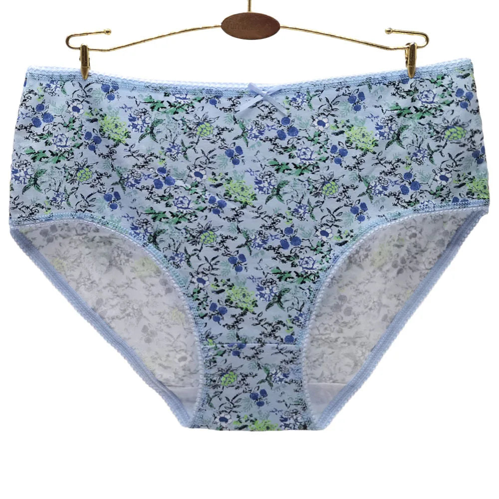 INTIMO SECRETS 3PCS Cotton Panties – Plus Size Women’s Cozy Lingerie