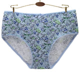 INTIMO SECRETS 3PCS Cotton Panties – Plus Size Women’s Cozy Lingerie