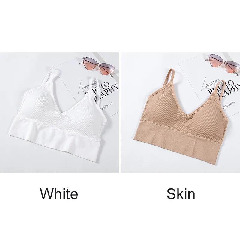 INTIMO SECRETS Women’s 2-Pack Padded Crop Top Bra – Wire-Free Summer Active Vest