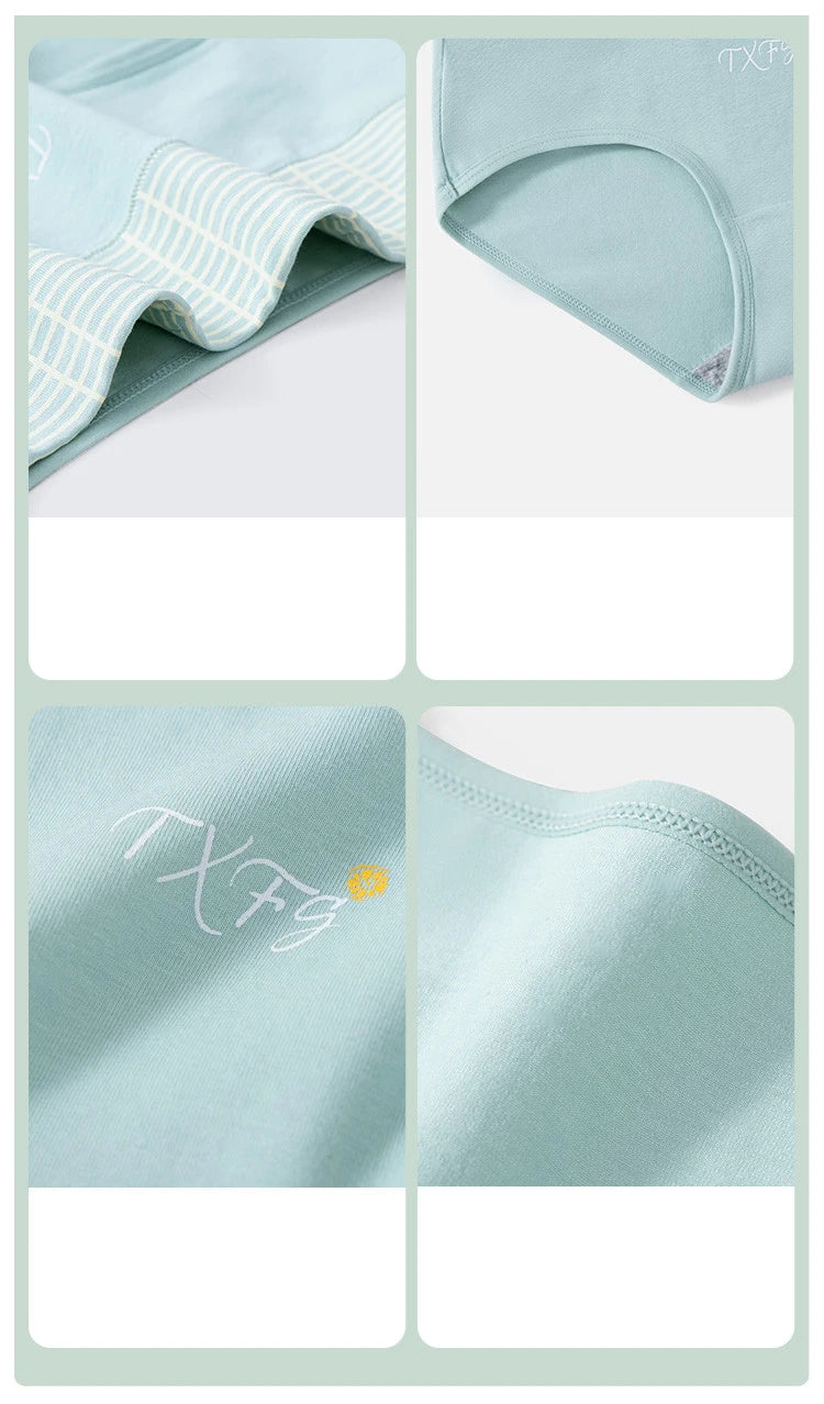 INTIMO SECRETS 4PCS High Waist Cotton Panties – Plus Size Women’s Lingerie