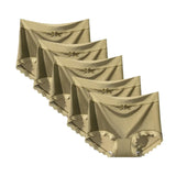 INTIMO SECRETS 5-Pack Women’s Silk Blend Mid-Rise Briefs – Soft & Comfortable