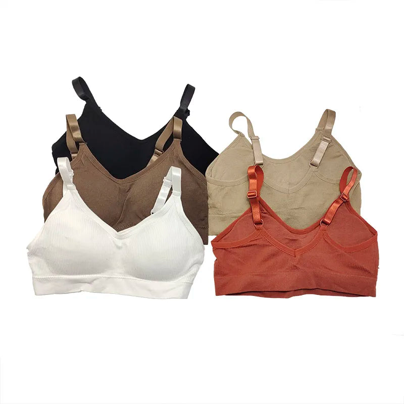 INTIMO SECRETS Breathable Padded Sports Bra – Adjustable Straps, Workout Ready