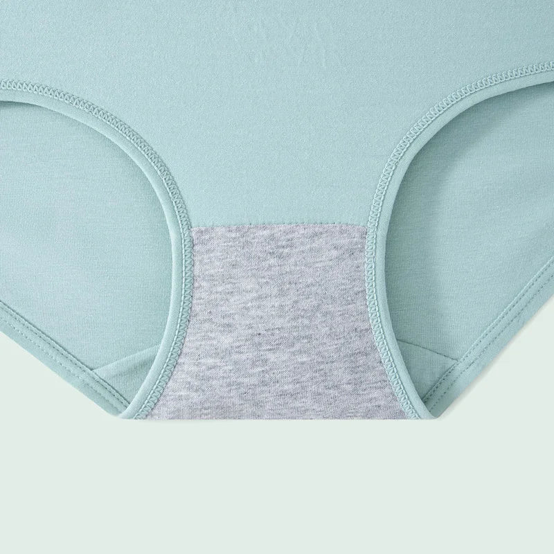 INTIMO SECRETS 4PCS High Waist Cotton Panties – Plus Size Women’s Lingerie