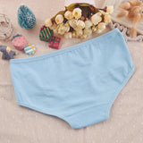 INTIMO SECRETS 7PCS Cotton Panties – Plus Size Women’s Soft Lingerie