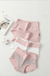 INTIMO SECRETS 4-Pack High Waist Panties – Plus Size Women’s Underwear