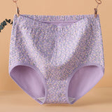 INTIMO SECRETS High Waist Cotton Panties – Plus Size Women’s Lingerie