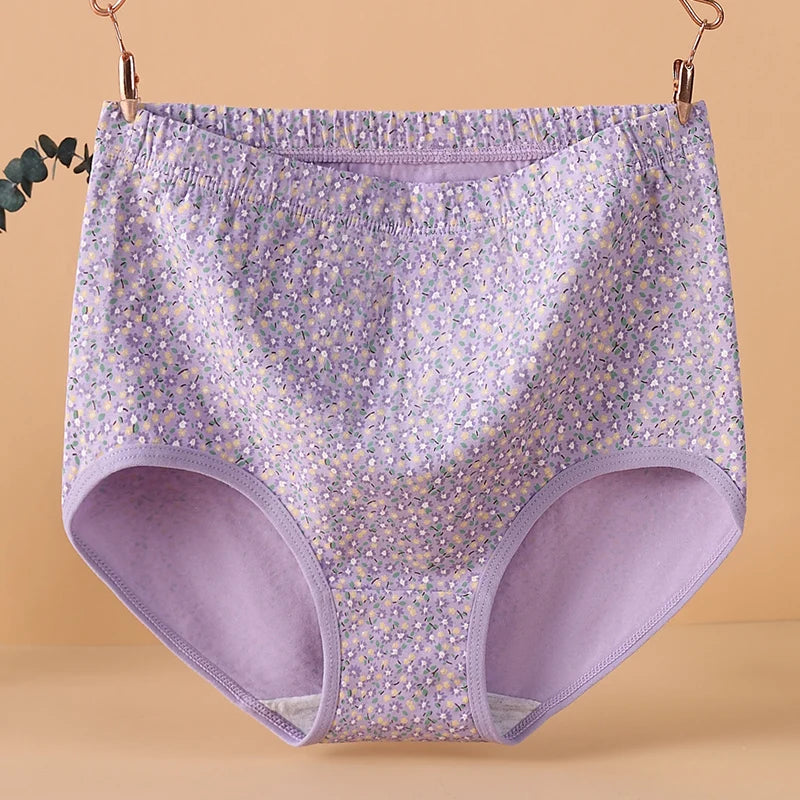 INTIMO SECRETS High Waist Cotton Panties – Plus Size Women’s Lingerie