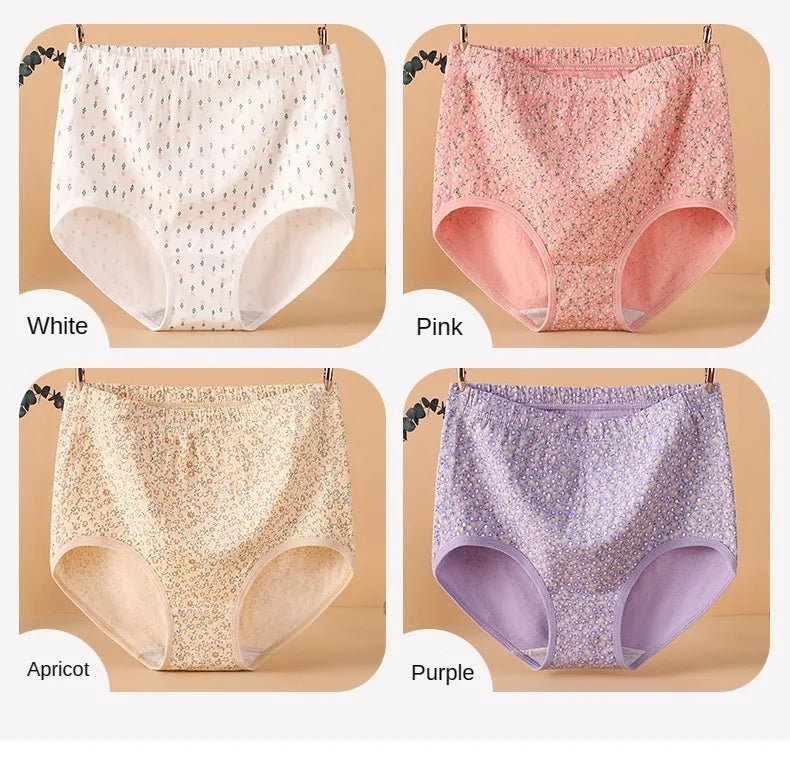 INTIMO SECRETS High Waist Cotton Panties – Plus Size Women’s Lingerie