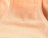 INTIMO SECRETS 3-Pack Women’s High-Waist Cotton Briefs – Breathable & Comfortable