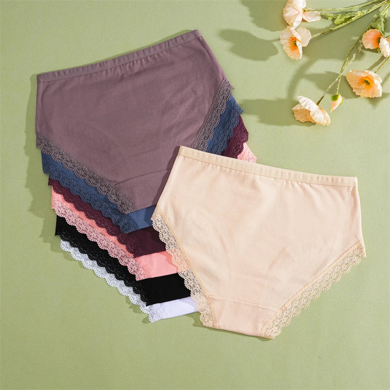INTIMO SECRETS 3PCS Cotton Lace Panties – Plus Size Women’s Mid-Waist Lingerie