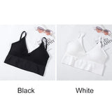 INTIMO SECRETS Women’s 2-Pack Padded Crop Top Bra – Wire-Free Summer Active Vest