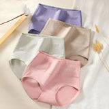 INTIMO SECRETS 4PCS High Waist Cotton Panties – Plus Size Women’s Lingerie