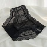 INTIMO SECRETS Women’s L-XL Sexy Lace Low-Waist Seamless Panties