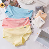7Pcs/Lot Cotton Panties for Women Plus Size Underwear Comfortable Briefs Girls Female Underpants Sexy Lingeries Intimates M-4XL