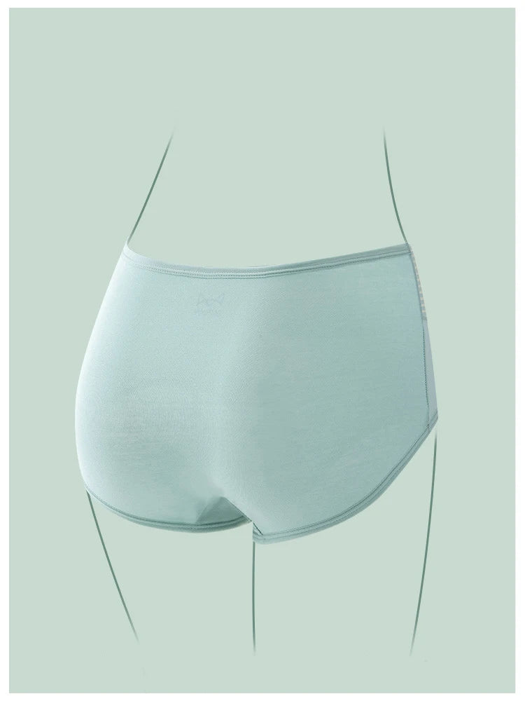 INTIMO SECRETS 4PCS High Waist Cotton Panties – Plus Size Women’s Lingerie