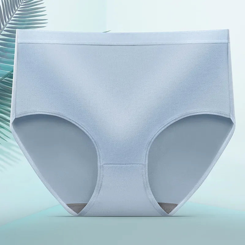 INTIMO SECRETS Sexy Seamless Panties – Plus Size Women’s Underwear