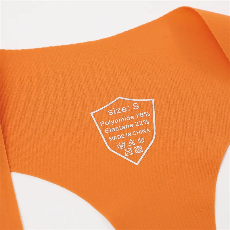 INTIMO SECRETS 6-Pack Women’s Seamless V-Waist Thongs – Ultra-Thin Summer G-String Panties