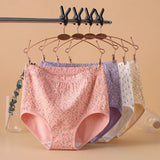INTIMO SECRETS High Waist Cotton Panties – Plus Size Women’s Lingerie