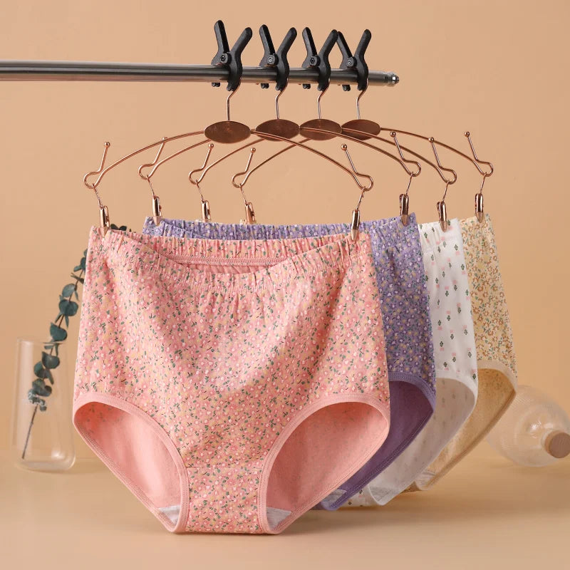 INTIMO SECRETS High Waist Cotton Panties – Plus Size Women’s Lingerie