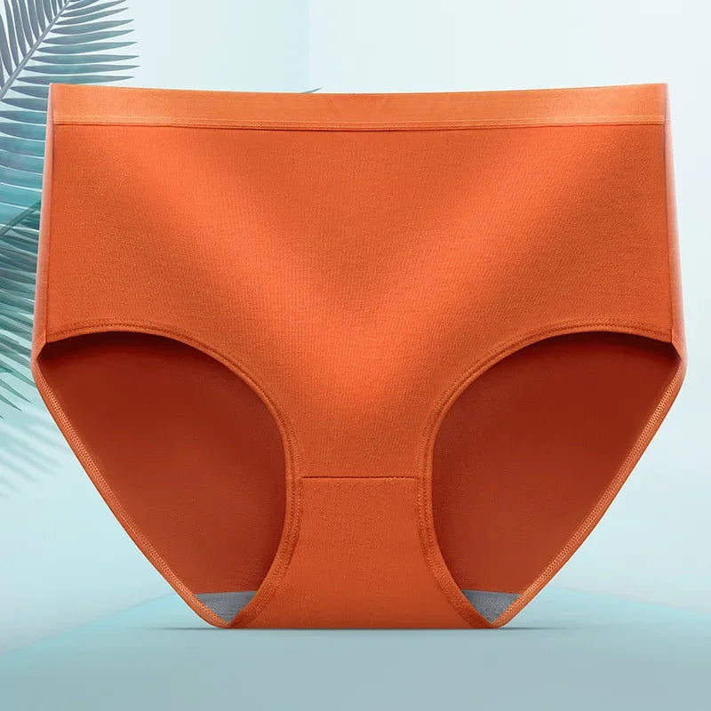 INTIMO SECRETS Sexy Seamless Panties – Plus Size Women’s Underwear