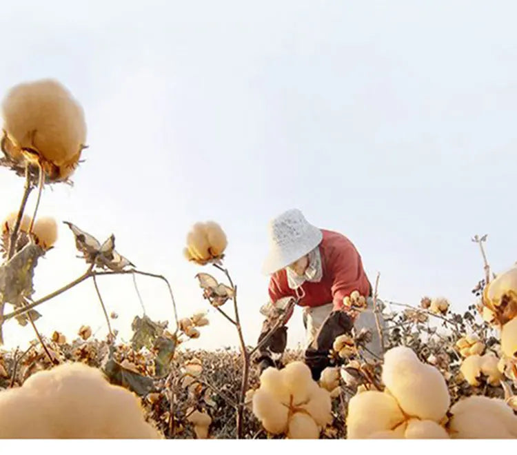 INTIMO SECRETS Plus Size Full Coverage Unlined Seamless Bra Wide Strap Wireless Push-Up