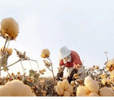 INTIMO SECRETS Plus Size Full Coverage Unlined Seamless Bra Wide Strap Wireless Push-Up