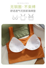 INTIMO SECRETS Women’s Active Cotton Bra – Casual Wire-Free Padded Top for Gym & Fitness