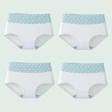 INTIMO SECRETS 4PCS High Waist Cotton Panties – Plus Size Women’s Lingerie