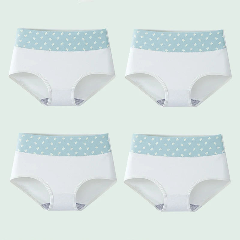 INTIMO SECRETS 4PCS High Waist Cotton Panties – Plus Size Women’s Lingerie