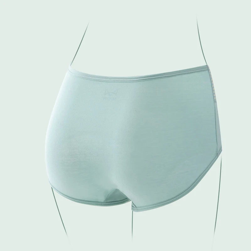 INTIMO SECRETS 4PCS High Waist Cotton Panties – Plus Size Women’s Lingerie
