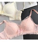 INTIMO SECRETS Japanese Push-Up Bra – Lace Enhancer Wire-Free Lift Bralette